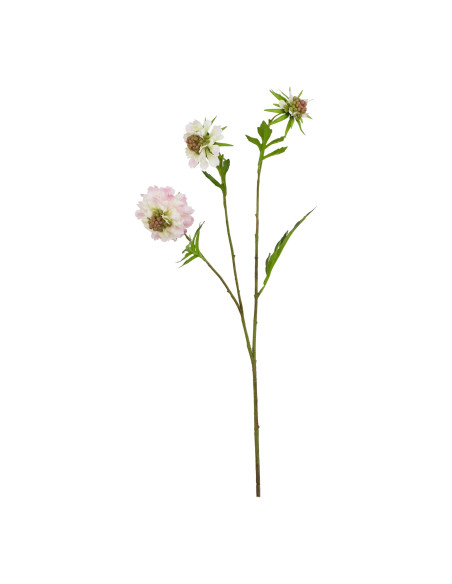Affordable industrial style furniture Hill Interiors The Natural Garden Collection Pale Pink Scabious Stem 23416 for modern hom