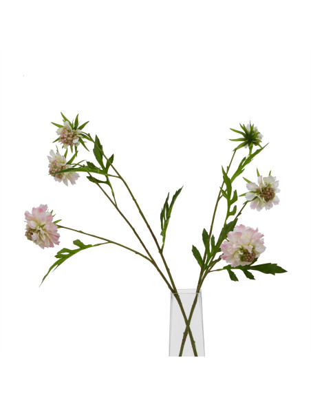 Full dimensions and specifications of Hill Interiors The Natural Garden Collection Pale Pink Scabious Stem 23416: Height 65.00c