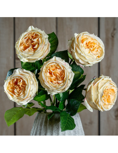 Hill Interiors The Natural Garden Collection Palest Blush Charity Rose 23397 - Authentic Hill Interiors furniture directly from