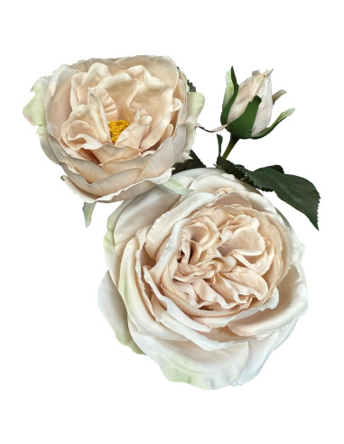 Affordable industrial style furniture Hill Interiors The Natural Garden Collection Palest Blush Charity Rose 23397 for modern h