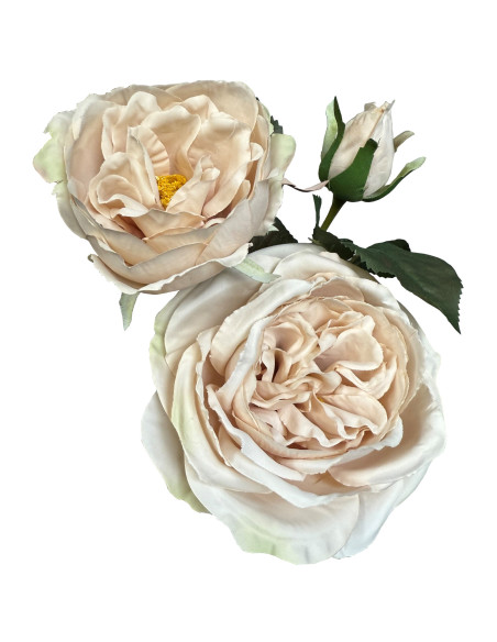 Affordable industrial style furniture Hill Interiors The Natural Garden Collection Palest Blush Charity Rose 23397 for modern h