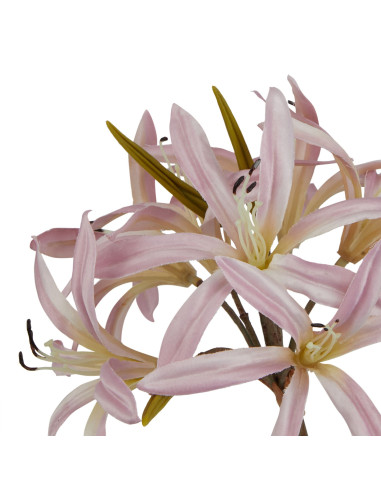 Buy Hill Interiors 23395 The Natural Garden Collection Pink Lily Stem online in UK with fast delivery from FastDaddy UK, your f
