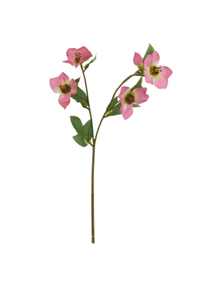 Hill Interiors The Natural Garden Collection Pink Varigated Hellibore 23410 - Authentic Hill Interiors furniture directly from