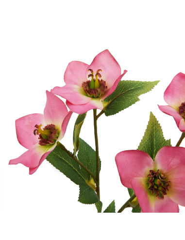 Buy Hill Interiors 23410 The Natural Garden Collection Pink Varigated Hellibore online in UK with fast delivery from FastDaddy