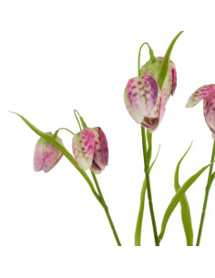 Hill Interiors The Natural Garden Collection Purple Fritillaria Stem 23412 - Authentic Hill Interiors furniture directly from F 2