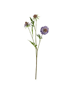 Affordable industrial style furniture Hill Interiors The Natural Garden Collection Purple Scabious Stem 23414 for modern home d