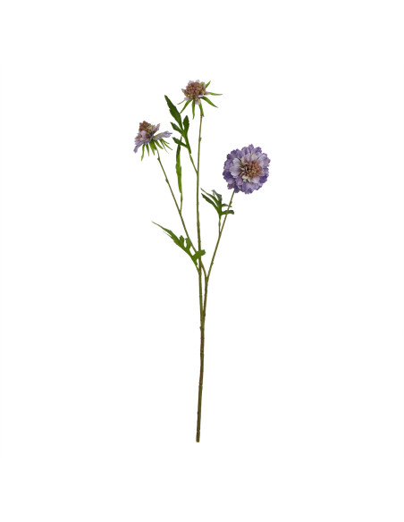 Affordable industrial style furniture Hill Interiors The Natural Garden Collection Purple Scabious Stem 23414 for modern home d