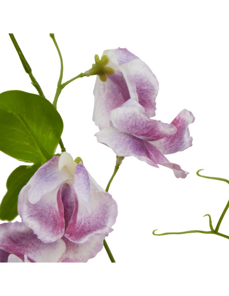 Buy Hill Interiors 23418 The Natural Garden Collection Purple Sweetpea Stem online in UK with fast delivery from FastDaddy UK,