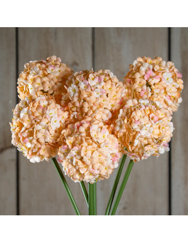 Hill Interiors The Natural Garden Collection White & Apricot Allium 23386 - Authentic Hill Interiors furniture directly from Fa