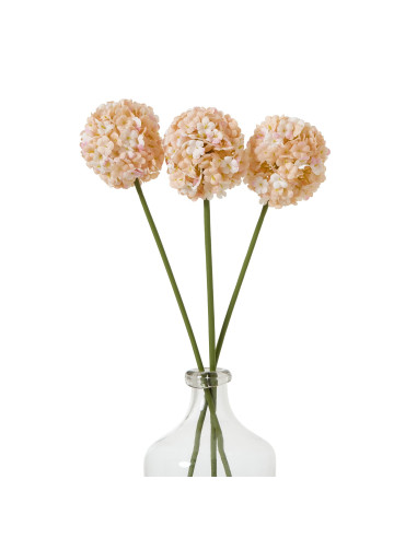 Full dimensions and specifications of Hill Interiors The Natural Garden Collection White & Apricot Allium 23386: Height 56.00cm