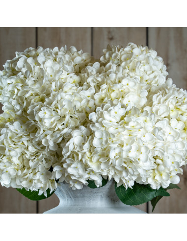 Hill Interiors The Natural Garden Collection White Allium 23387 - Authentic Hill Interiors furniture directly from FastDaddy UK