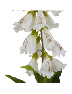Hill Interiors The Natural Garden Collection White Foxglove 23404 - Authentic Hill Interiors furniture directly from FastDaddy 2