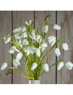 Affordable industrial style furniture Hill Interiors The Natural Garden Collection White Fritillaria Stem 23413 for modern home 2