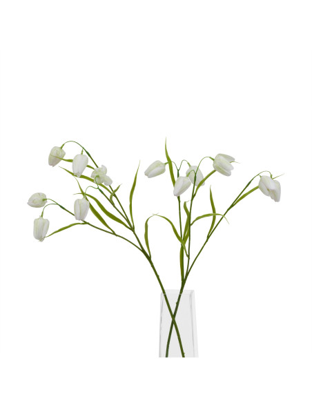 Full dimensions and specifications of Hill Interiors The Natural Garden Collection White Fritillaria Stem 23413: Height 58.00cm
