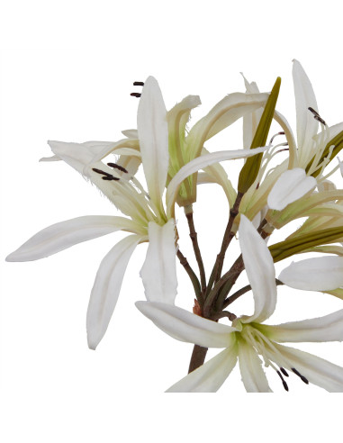 Buy Hill Interiors 23394 The Natural Garden Collection White Nerine Lily Stem online in UK with fast delivery from FastDaddy UK