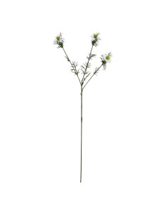 Hill Interiors The Natural Garden Collection White Nigella Love In A Mist 23422 - Authentic Hill Interiors furniture directly f