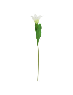 Hill Interiors The Natural Garden Collection White Parrot Tulip 23408 - Authentic Hill Interiors furniture directly from FastDa