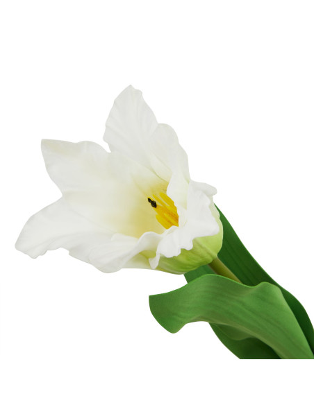 Buy Hill Interiors 23408 The Natural Garden Collection White Parrot Tulip online in UK with fast delivery from FastDaddy UK, yo