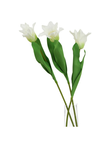 Affordable industrial style furniture Hill Interiors The Natural Garden Collection White Parrot Tulip 23408 for modern home dec