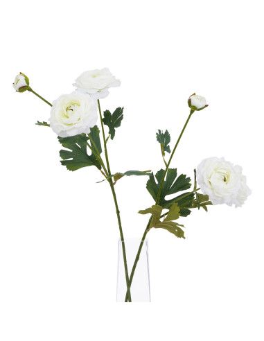 Full dimensions and specifications of Hill Interiors The Natural Garden Collection White Ranunculus 23392: Height 64.00cm, Widt