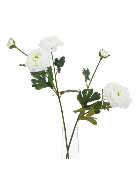 Full dimensions and specifications of Hill Interiors The Natural Garden Collection White Ranunculus 23392: Height 64.00cm, Widt