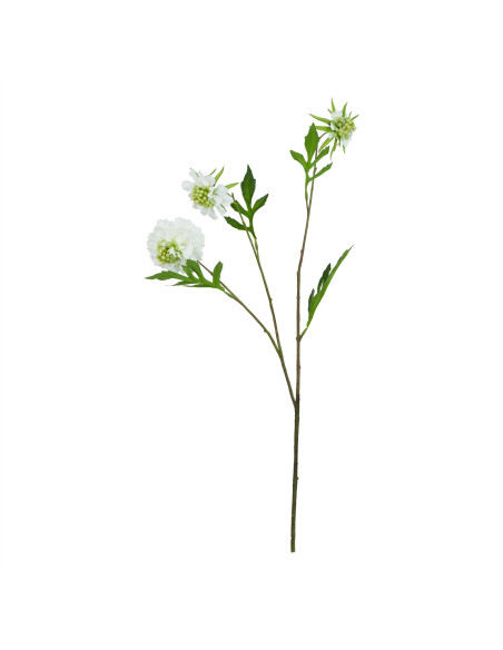 Affordable industrial style furniture Hill Interiors The Natural Garden Collection White Scabious Stem 23415 for modern home de