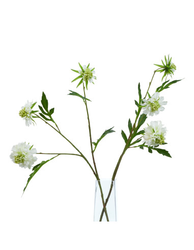 Full dimensions and specifications of Hill Interiors The Natural Garden Collection White Scabious Stem 23415: Height 65.00cm, W