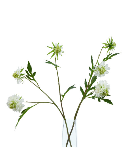 Full dimensions and specifications of Hill Interiors The Natural Garden Collection White Scabious Stem 23415: Height 65.00cm, W