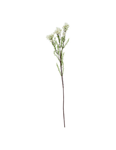 Hill Interiors The Natural Garden Collection White Waxflower 23411 - Authentic Hill Interiors furniture directly from FastDaddy