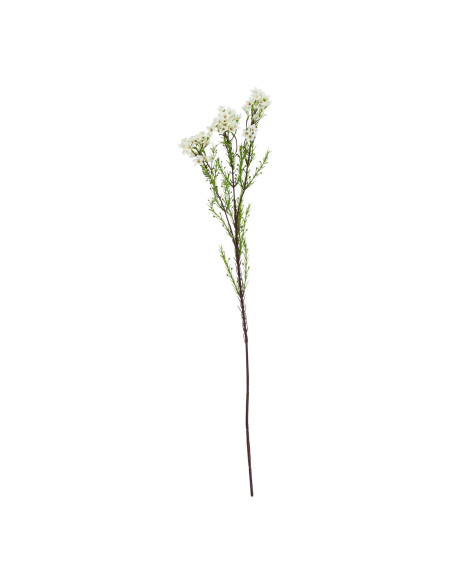 Hill Interiors The Natural Garden Collection White Waxflower 23411 - Authentic Hill Interiors furniture directly from FastDaddy
