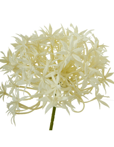 Buy Hill Interiors 23810 Three Head Cream Allium Spray online in UK with fast delivery from FastDaddy UK, your furniture expert