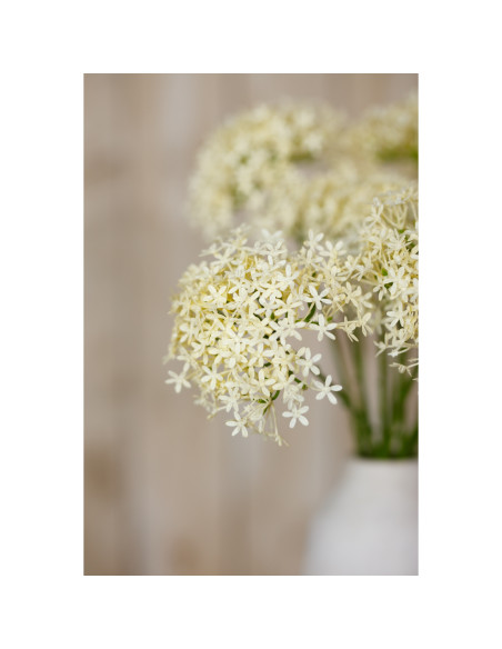 Full dimensions and specifications of Hill Interiors Three Head Cream Allium Spray 23810: Height 64.00cm, Width 0.00cm, perfect