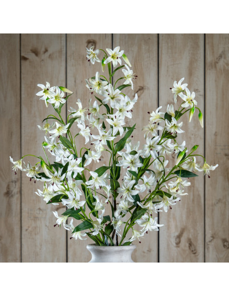 Hill Interiors Turks Cap Green Lily Spray 23811 - Authentic Hill Interiors furniture directly from FastDaddy UK. Exclusive coll