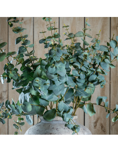 Hill Interiors Variegated Eucalyptus 19049 - Authentic Hill Interiors furniture directly from FastDaddy UK. Exclusive collectio