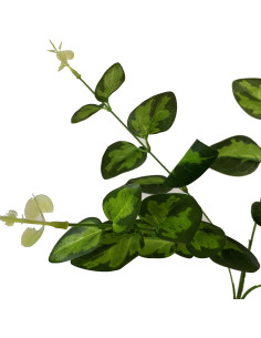 Hill Interiors Variegated Leaf Spray 23788 - Authentic Hill Interiors furniture directly from FastDaddy UK. Exclusive collectio 2