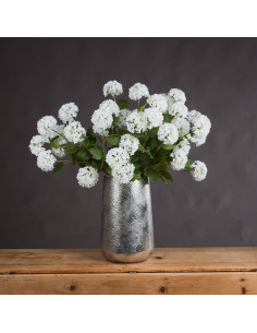 Full dimensions and specifications of Hill Interiors Viburnum Opulus 18969: Height 75.00cm, Width 18.00cm, perfect for your liv 2