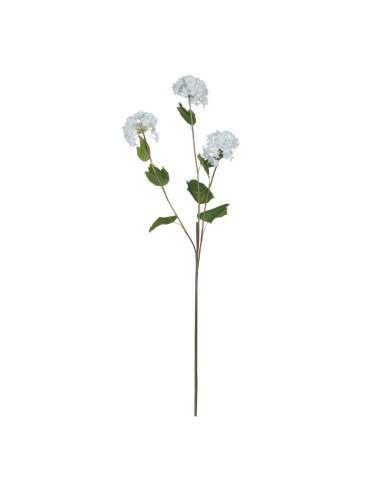 Full dimensions and specifications of Hill Interiors Viburnum Opulus 18969: Height 75.00cm, Width 18.00cm, perfect for your liv