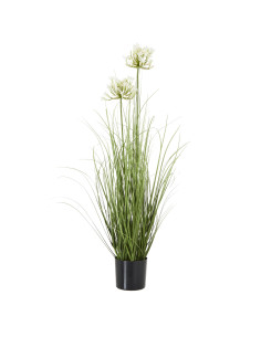 Hill Interiors White Agapanthus Plant In Pot 23717 - Authentic Hill Interiors furniture directly from FastDaddy UK. Exclusive c