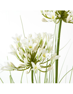 Hill Interiors White Agapanthus Plant In Pot 23717 - Authentic Hill Interiors furniture directly from FastDaddy UK. Exclusive c 2