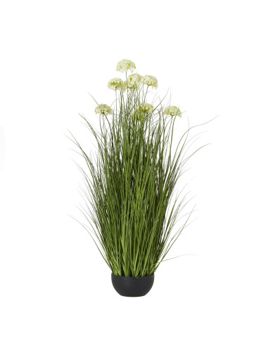 Hill Interiors White Allium Plant In Pot 23712 - Authentic Hill Interiors furniture directly from FastDaddy UK. Exclusive colle