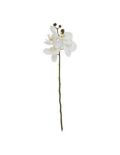 Hill Interiors White Butterfly Orchid Stem 23378 - Authentic Hill Interiors furniture directly from FastDaddy UK. Exclusive col