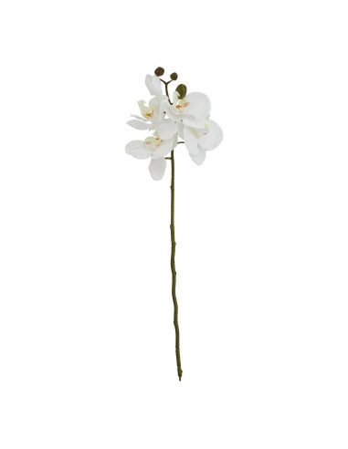 Hill Interiors White Butterfly Orchid Stem 23378 - Authentic Hill Interiors furniture directly from FastDaddy UK. Exclusive col