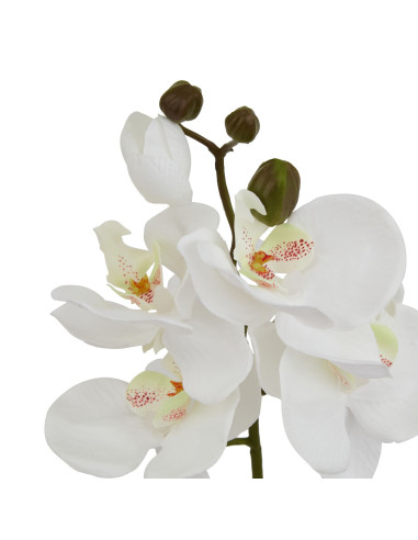 Buy Hill Interiors 23378 White Butterfly Orchid Stem online in UK with fast delivery from FastDaddy UK, your furniture expert.