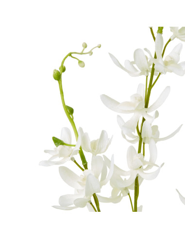 Buy Hill Interiors 23870 White Cymbidium Spray online in UK with fast delivery from FastDaddy UK, your furniture expert.