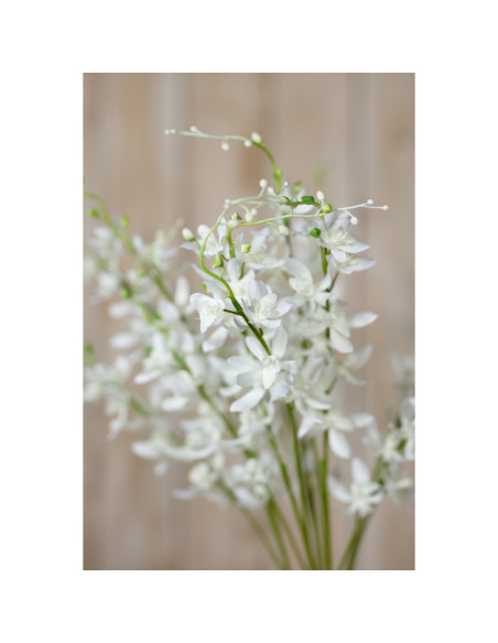 Full dimensions and specifications of Hill Interiors White Cymbidium Spray 23870: Height 95.00cm, Width 24.00cm, perfect for yo