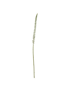 Hill Interiors White Eremurus Stem 23852 - Authentic Hill Interiors furniture directly from FastDaddy UK. Exclusive collection