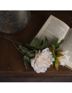 Buy Hill Interiors 19034 White Fashion Peony online in UK with fast delivery from FastDaddy UK, your furniture expert.