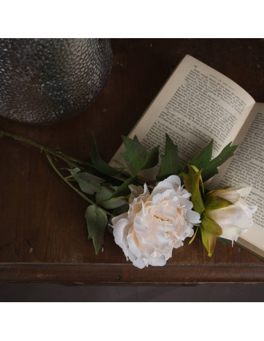 Buy Hill Interiors 19034 White Fashion Peony online in UK with fast delivery from FastDaddy UK, your furniture expert.