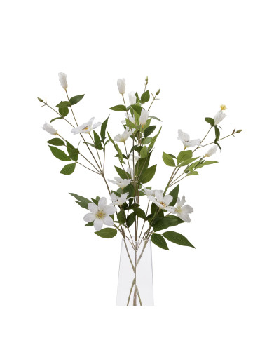 Full dimensions and specifications of Hill Interiors White Florida Clematis 22630: Height 77.00cm, Width 25.00cm, perfect for y