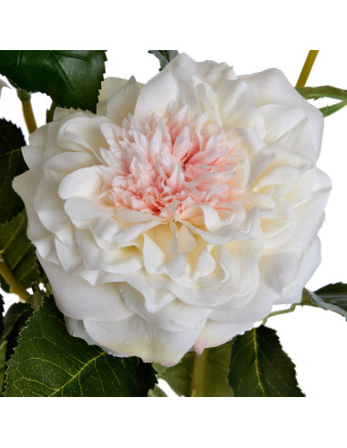 Full dimensions and specifications of Hill Interiors White Garden Rose Spray 18948: Height 68.00cm, Width 16.00cm, perfect for